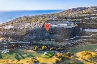 , 0 Crown Valley, Dana Point, CA 92629 - 4