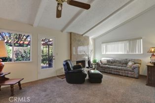 Single Family Residence, 925 La Veta ave, Orange, CA 92866 - 9