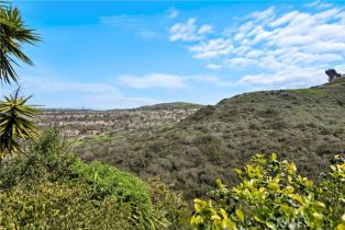 Single Family Residence, 710 Avenida Columbo, San Clemente, CA 92672 - 19