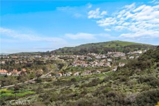 Single Family Residence, 710 Avenida Columbo, San Clemente, CA 92672 - 21