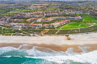 Single Family Residence, 73 Ritz Cove dr, Dana Point, CA 92629 - 43