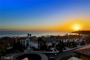 Single Family Residence, 73 Ritz Cove dr, Dana Point, CA 92629 - 52