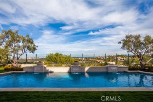 Single Family Residence, 21 Skyridge, Newport Coast, CA 92657 - 45