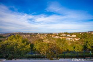 Single Family Residence, 21 Skyridge, Newport Coast, CA 92657 - 46