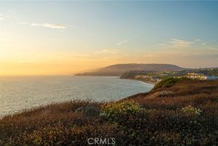 Condominium, 34026 Selva rd, Dana Point, CA 92629 - 29