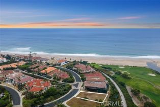 , 14 Ritz Cove dr, Dana Point, CA 92629 - 2