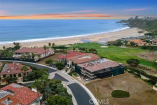 , 14 Ritz Cove dr, Dana Point, CA 92629 - 3