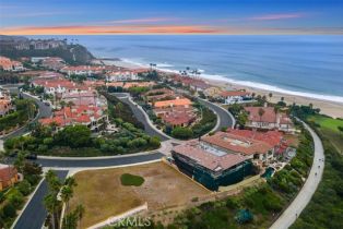 , 14 Ritz Cove dr, Dana Point, CA 92629 - 4