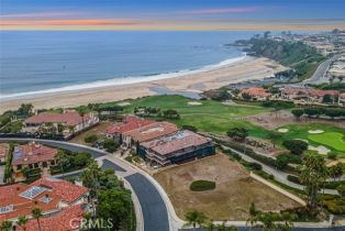 , 14 Ritz Cove dr, Dana Point, CA 92629 - 7