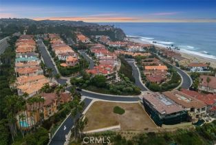 , 14 Ritz Cove dr, Dana Point, CA 92629 - 9