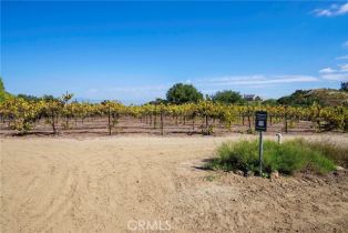 , 38575 Via Vista Grande, Murrieta, CA 92562 - 39