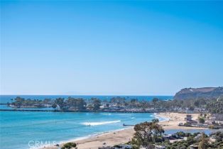 Condominium, 25832 Dana Bluff, Dana Point, CA 92624 - 20