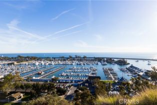 Townhouse, 24421 Santa Clara ave, Dana Point, CA 92629 - 36