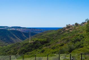 Single Family Residence, 16 Clearview, Newport Coast, CA 92657 - 24