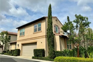 Residential Lease, 167 Bright Poppy, Irvine, CA  Irvine, CA 92618