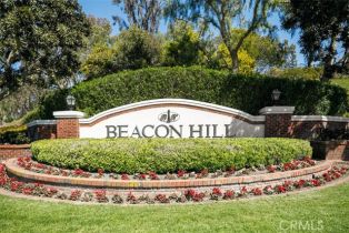 Single Family Residence, 18 Richmond Hill, Laguna Niguel, CA 92677 - 40