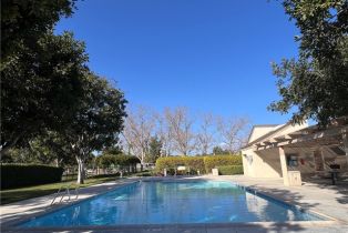 Condominium, 41 Pinewood, Irvine, CA 92604 - 45