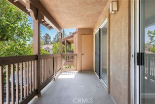 Condominium, 116 Mine Canyon rd, Orange, CA 92869 - 15