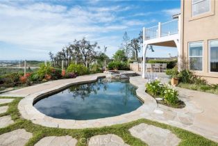 Single Family Residence, 1 Cavaillon, Newport Coast, CA 92657 - 32