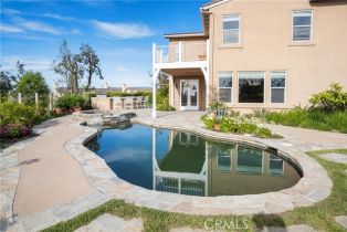 Single Family Residence, 1 Cavaillon, Newport Coast, CA 92657 - 35