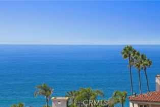 Single Family Residence, 51 Ritz Cove dr, Dana Point, CA 92629 - 22