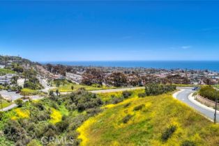 Land, 110 El Levante, San Clemente, CA  San Clemente, CA 92672