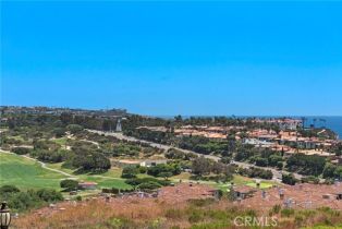 Single Family Residence, 23293 Pompeii dr, Dana Point, CA 92629 - 44