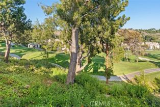 Single Family Residence, 30792 Via Conquista, San Juan Capistrano, CA 92675 - 23