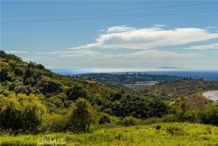 Condominium, 34 Talmont, Newport Coast, CA 92657 - 54