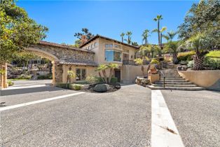 Single Family Residence, 5974 Rancho Diegueno rd, Rancho Santa Fe, CA 92014 - 33