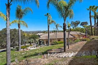 Single Family Residence, 5974 Rancho Diegueno rd, Rancho Santa Fe, CA 92014 - 62