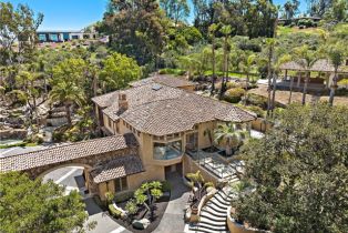 Single Family Residence, 5974 Rancho Diegueno rd, Rancho Santa Fe, CA 92014 - 67