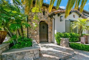 Single Family Residence, 5 Wayside, Newport Coast, CA 92657 - 53