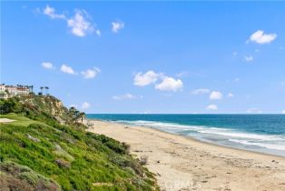 Single Family Residence, 156 Monarch Bay dr, Dana Point, CA 92629 - 57