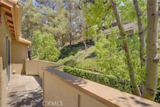 Condominium, 5460 Copper Canyon rd, Yorba Linda, CA 92887 - 48