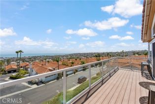 Single Family Residence, 24896 Sea Crest dr, Dana Point, CA 92629 - 19