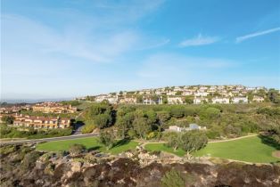 Single Family Residence, 6 Via Cristallo, Newport Coast, CA 92657 - 50