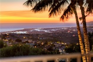 Single Family Residence, 6 Via Cristallo, Newport Coast, CA 92657 - 51