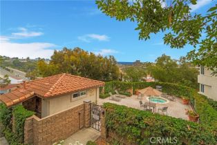 Condominium, 16 Corniche dr, Dana Point, CA 92629 - 27