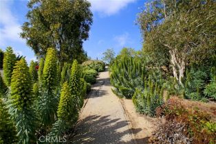 Single Family Residence, 1040 La Mirada st, Laguna Beach, CA 92651 - 46