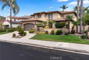 Single Family Residence, 31252 Via Del Verde, San Juan Capistrano, CA 92675 - 51