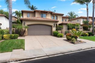 Single Family Residence, 31252 Via Del Verde, CA  , CA 92675