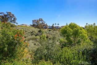 Single Family Residence, 33052 Sunharbor, Dana Point, CA 92629 - 38