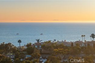 Single Family Residence, 71 Ritz Cove dr, Dana Point, CA 92629 - 69