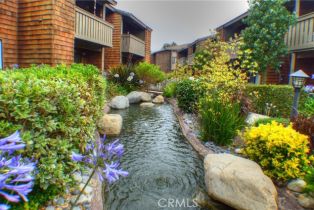 Condominium, 33852 DEL OBISPO st, Dana Point, CA 92629 - 39