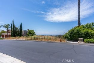 , 317 Ramsgate dr, Anaheim Hills, CA 92807 - 9