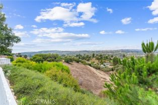 Single Family Residence, 24555 Los Serranos dr, Laguna Niguel, CA 92677 - 28