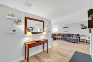 Condominium, 29142 Via Cerrito, Laguna Niguel, CA 92677 - 5