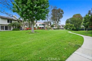 Single Family Residence, 456 Vista Trucha, Newport Beach, CA 92660 - 7