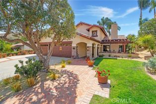 Single Family Residence, 31871 Via Montura, San Juan Capistrano, CA 92675 - 2